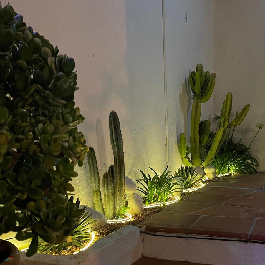 Terra Aloe Hotel Torremolinos Kültér fotó