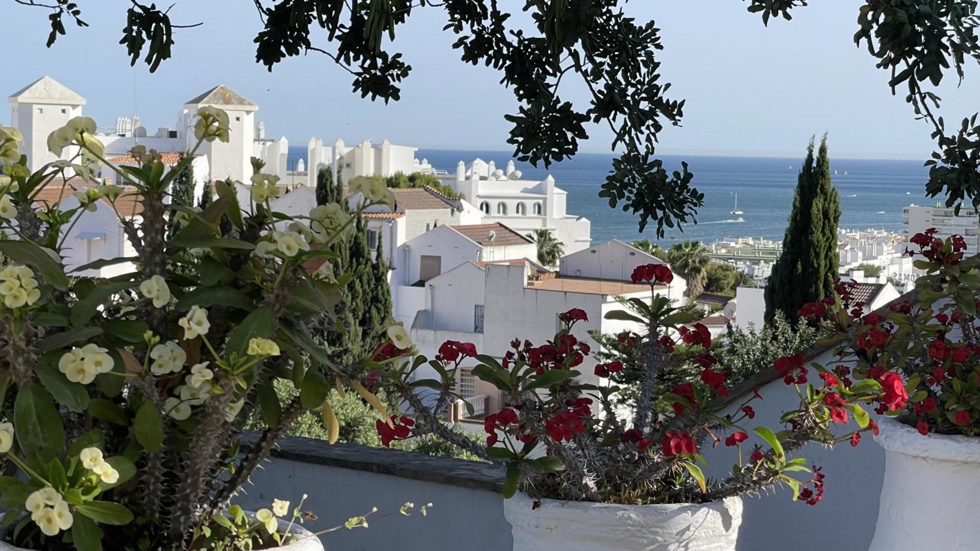 Terra Aloe Hotel Torremolinos Kültér fotó